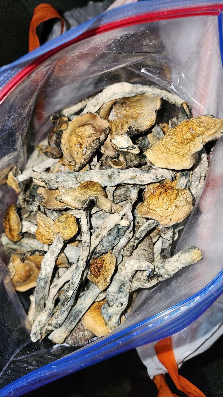 Golden teachers