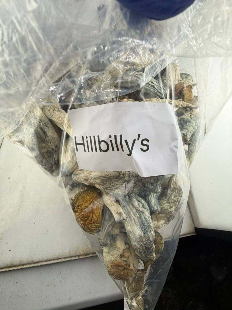Hillbilly Mushroom