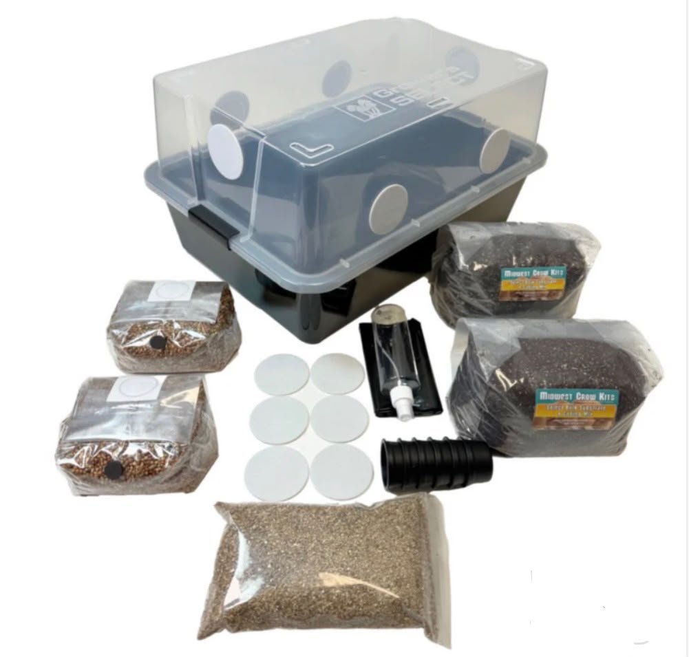 MUSHROOM GROW KIT