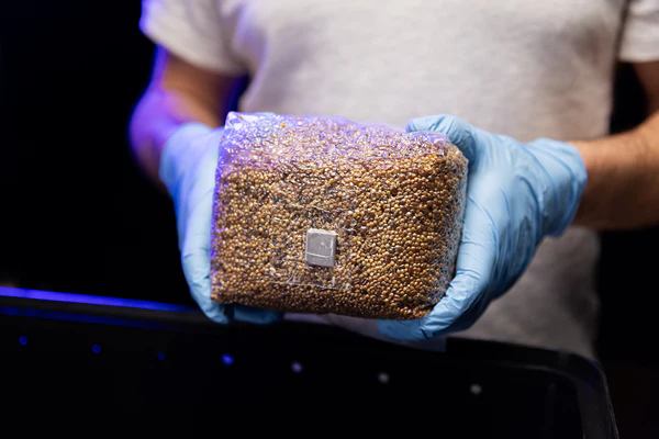 OPTIMA Organic Grain Bag – Sterilized with Injection Port