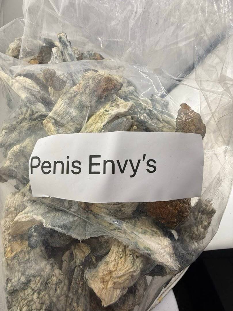 Penis Envy Mushroom